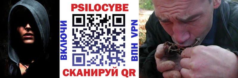 omg ТОР  Кириши  Галлюциногенные грибы мухоморы  где купить наркоту 