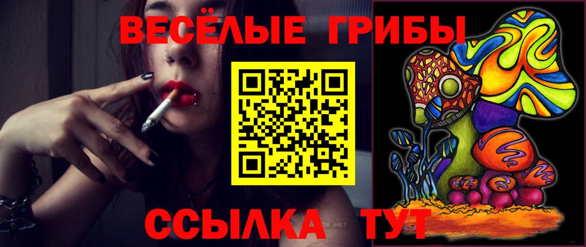 Кириши  Псилоцибиновые грибы мухоморы  дарнет шоп  Вход с VPN 