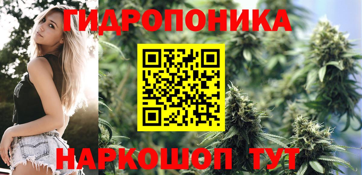 Кириши  Канабис SATIVA & INDICA  Вход с VPN  Бошки Шишки гибрид 